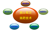 测土配方施肥技术
