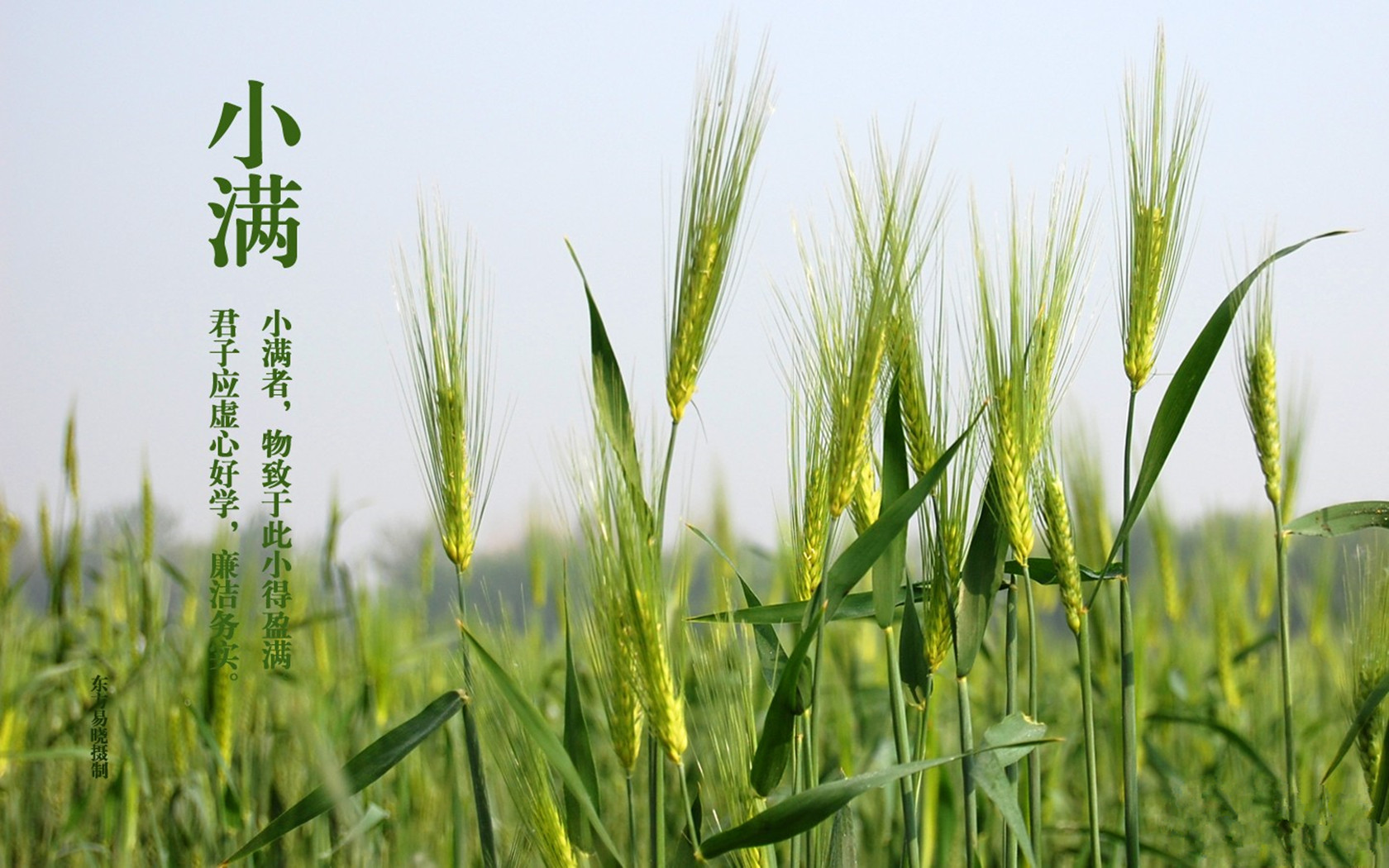 天宇汇景温馨提示 小满节气到