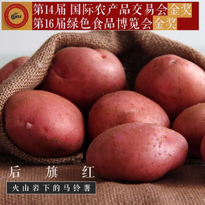 “后旗红”马铃薯荣获十四届中国国际农交会金奖！