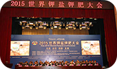 展望“十三五”    共谋钾盐大计     <br/>   “2015世界钾盐钾肥大会”在中国盐湖城格尔木举行