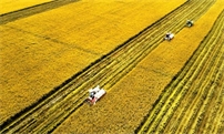 农业部公布实施新修改《肥料登记管理办法》
