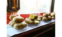 乌兰察布市四举措服务马铃薯产业快速发展