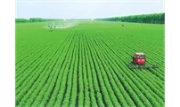 农业农村部发布水稻作物施肥指导意见