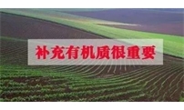 施用菌肥，请别忘了补充有机质！