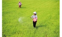 硝酸钾、磷酸二氢钾、硫酸钾的区别