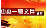 中央一号文件发布啦！连续16年聚焦三农 发出这些惠农礼包