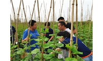 天宇汇景集团——农化服务走进河南