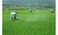 中华人民共和国国务院令 第725号《农作物病虫害防治条例》