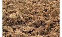 土壤中没有它，施再多肥料效果也不好！
