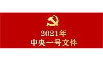 2021年中央一号文件