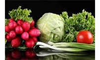 呼和浩特市出台促进蔬菜产业发展七条政策措施