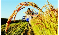 四部门关于进一步做好政府采购脱贫地区农副产品有关工作的通知