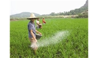 种地还能评职称？多地试水职业农民职称评定